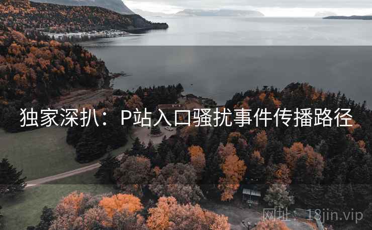 独家深扒：P站入口骚扰事件传播路径