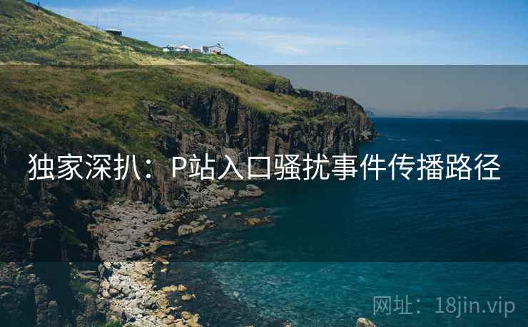 独家深扒:P站入口骚扰事件传播路径 独家深扒:P站入口骚扰事件传播路径