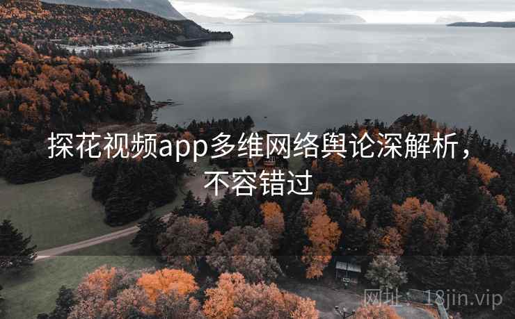 探花视频app多维网络舆论深解析,不容错过 探花视频app多维网络舆论深解析,不容错过